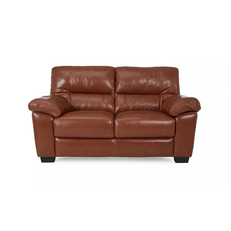 premium leather couch styling, and versatile sofa design ideal for modern living rooms