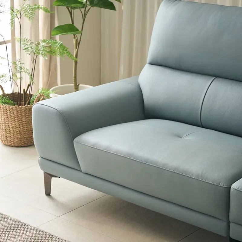 elegant leather couch with rounded arms living room sofa set buy sofa online 4 seater