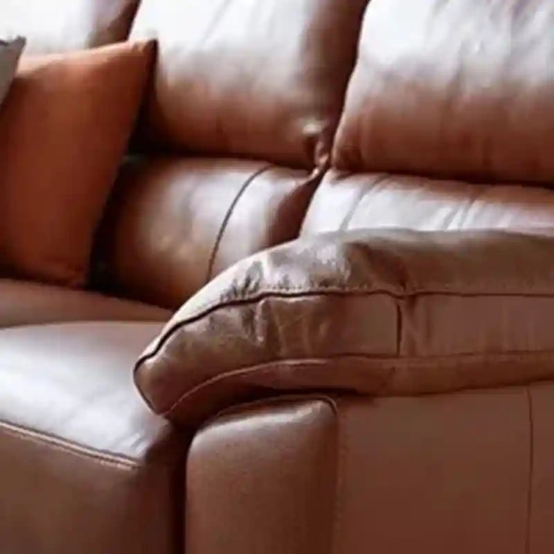 Wide armrest leather couch photograph with living room couch and pure leather sofa finish